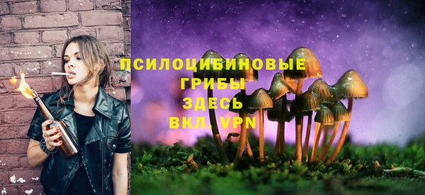Альфа ПВП Абаза