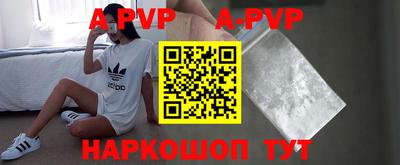 амф Кингисепп
