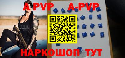 амф Кингисепп