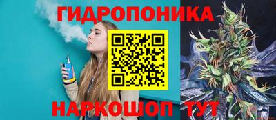амф Кингисепп
