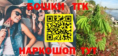 амф Кингисепп