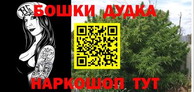 амф Кингисепп