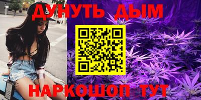 амф Кингисепп