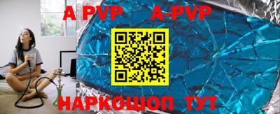 амф Кингисепп
