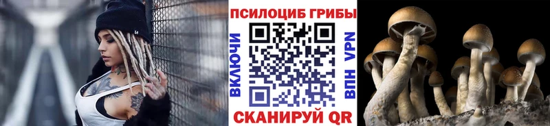 Псилоцибиновые грибы прущие грибы Керчь
